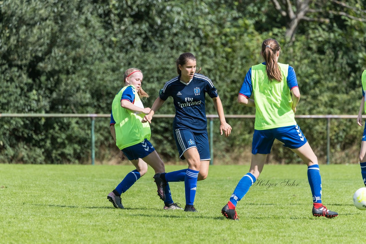 Bild 268 - B-Juniorinnen VfL Pinneberg - HSV : Ergebnis: 1:4